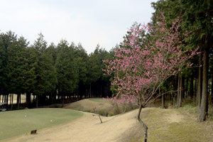 コース風景